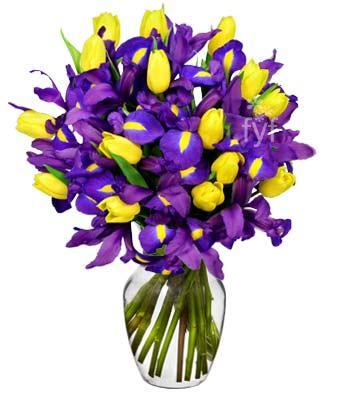 Sunny Tulip and Iris Bouquet